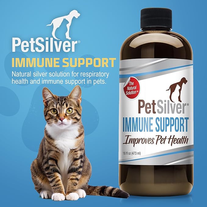 PetSilver Immune Support, Natural Nebulizer Solution, Promotes Respiratory Health in Cats & Dogs, Allergies, Sinus & Cough Treatment, Easy to Use, Patented Chelated Silver, Made in The USA, 16 fl oz-Mewly Pet