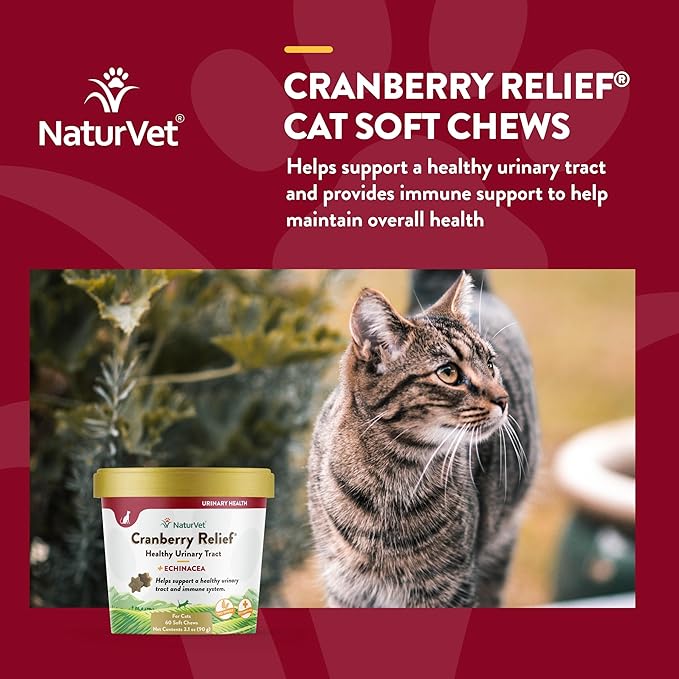 NaturVet Cranberry Relief Plus Echinacea for Cats, 60 ct Soft Chews, Made in The USA with Globally Source Ingredients-Mewly Pet