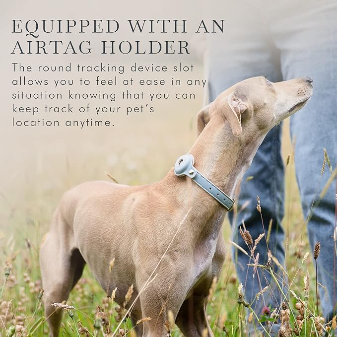 Cupertino Dog Collars, Harnesses & Leashes Made from Vegan Leather with Dog Tracker Device Holder Adjustable Dog Collar (Extra Small, Blue)-Mewly Pet