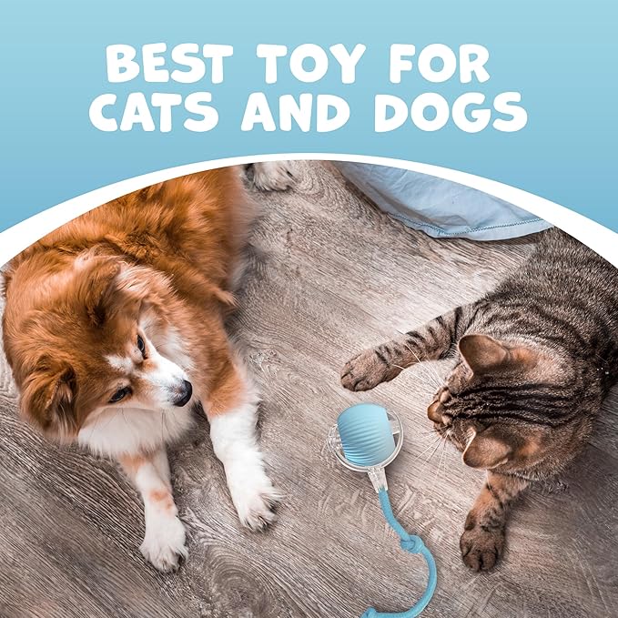 Pawlo Speedy Tail 2.0 Cat Toy –Teazys Turbo Tail Upgrade – Interactive Cat Toy – Kitten Toys – Automatic cat Toy for Boredom – Moving cat Toys for Indoor Cats with 2 Tails (Blue)-Mewly Pet