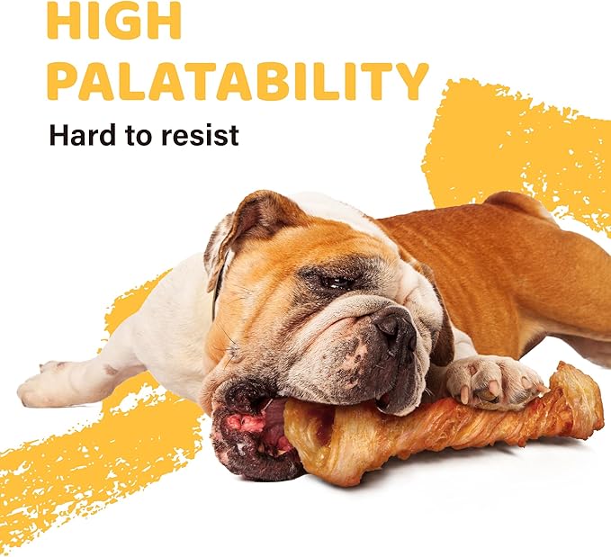 iPaw Turkey Tendons for Dogs, 100% Turkey and US Sourced Raw Material, Hypoallergenic, All Natural Human Grade Puppy Chew, Rawhide Alternative Dog Treats, 10 Unit/Box Bone (Large)-Mewly Pet