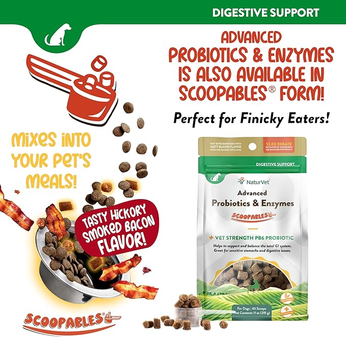 NaturVet Advanced Probiotics & Enzymes, PB6 Dog Soft Chews to Help Sensitive Stomachs and Digestive Issues, Hickory Smoked Bacon Flavored Pet Supplement for Dogs Over 6 Weeks, 70 Count Jar-Mewly Pet