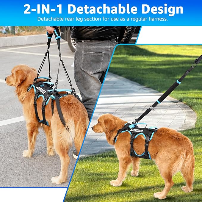 Dog Lift Harness for Medium Male Dogs Friendly, 2 in 1 Detachable Support Harness, Full Body Dog Carrying with 4 Handles for Old/Disabled/Joint Injuries Dogs (Black, Medium)-Mewly Pet