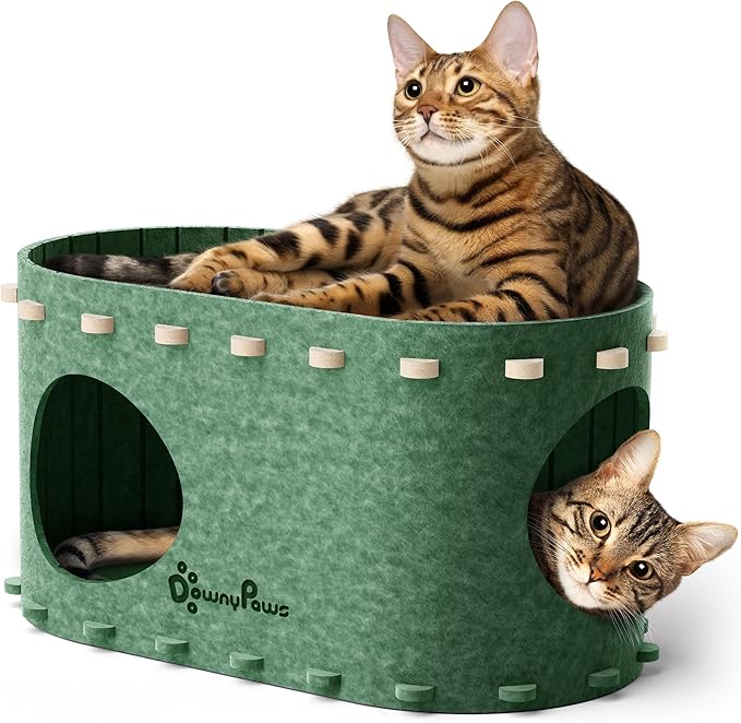 DownyPaws Cat House for Indoor Cats, Cat Bed Cave for Multiple & Large Cats Up to 22 Lbs, Scratch Resistant Peekaboo Cat Caves, Foldable Tunnel Enclosed Bed, PeekaPurr, Forest-Mewly Pet