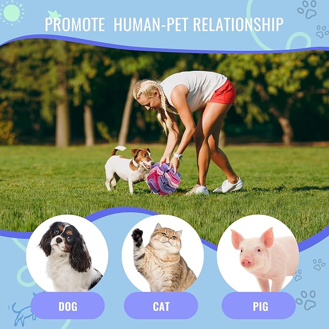 Pet Snuffle Ball, Puzzle Sniffing Interactive Dog Ball for Blind Dogs Training Stress Relief Dog Enrichment Toys Treat Machine Washable (Pink and Purple, 10cm)-Mewly Pet