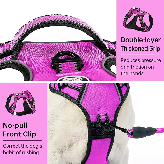 IVY&LANE No Pull Dog Harness for Medium Dogs,Dog Vest Harness with Leash,Safety Belt and Storage Strap, Fully Adjustable Harness,360° Reflective Strip,Soft Handle (Fuchsia Pink,M)-Mewly Pet