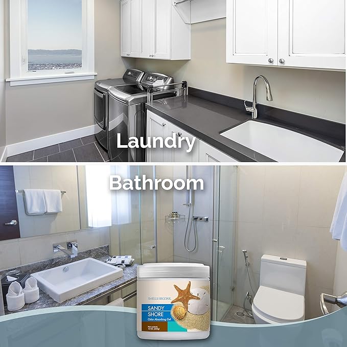 SMELLS BEGONE Air Freshener Odor Absorber Gel - 15 oz, Pack of 2 - Absorbs and Eliminates Odor in Pet Areas, Bathrooms, Cars, & Boats - Made with Essential Oils - Sandy Shore Scent-Mewly Pet