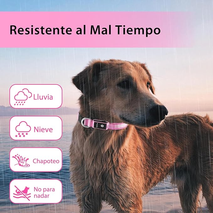 PcEoTllar Light up Dog Collar for Night Walking - LED Dog Collar Light Rechargeable Color Changing, Glow in The Dark Dog Collars Waterproof Glowing Dog Collars for Large Small Medium Dogs-Mewly Pet