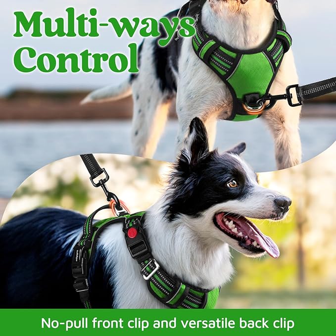 rabbitgoo Dog Harness Medium Sized, No Pull Dog Vest with 3 Buckles, Adjustable Soft Padded Pet Harness with Easy Control Handle and Reflective Strips, Green, M-Mewly Pet