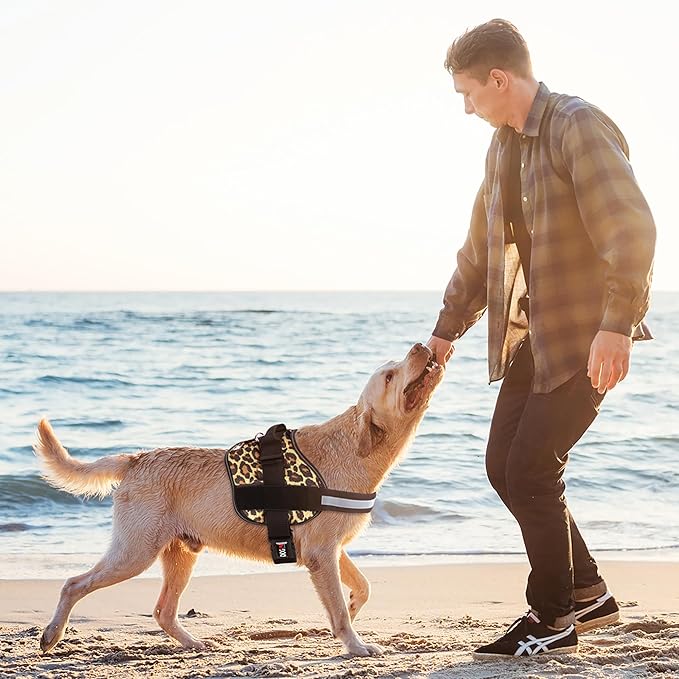 Dogline Dog Harness, Reflective No-Pull Adjustable Vest with Handle for Walking, Training, Breathable, No - Choke Harness for Small, Medium or Large Dogs Room for Patches Leopard Brown L 27"-34"-Mewly Pet