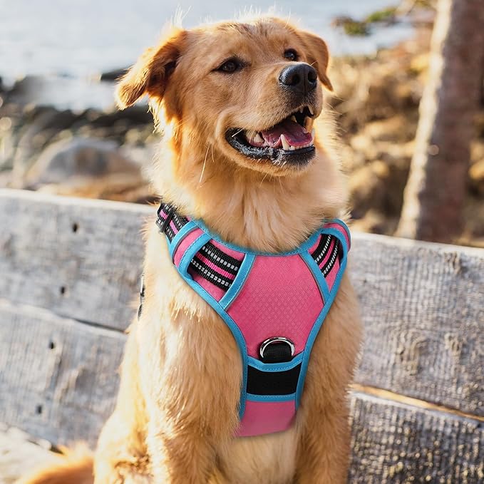 rabbitgoo Dog Harness for Large Dogs, No Pull Pet Vest with 3 Buckles, Adjustable Soft Padded Pet Harness with Easy Control Handle and Reflective Strips, Rose Pink & Blue, XL-Mewly Pet