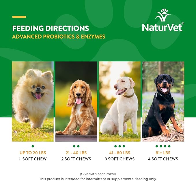 NaturVet Advanced Probiotics & Enzymes, PB6 Dog Soft Chews to Help Sensitive Stomachs and Digestive Issues, Hickory Smoked Bacon Flavored Pet Supplement for Dogs Over 6 Weeks, 70 Count Jar-Mewly Pet