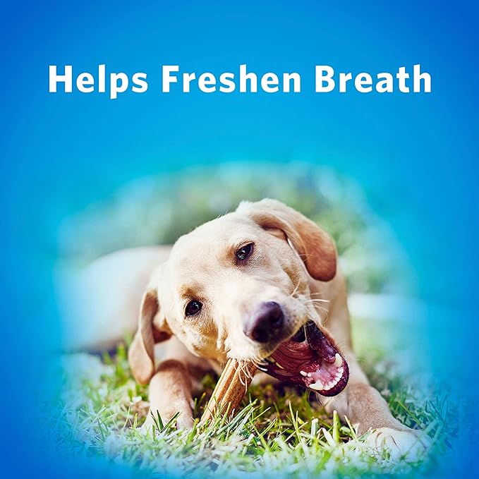 Purina Dentallife Daily Oral Care Dog Treats Large Chews - 7 Ct-Mewly Pet