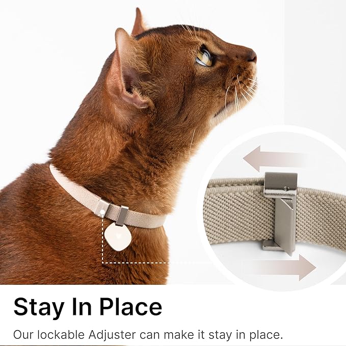 Safety Cat Collar Pro and Tag Set - U.S. IDA Gold Award, Elastic Release Cat Collar Charm Tag, Non Breakaway Cat Collar Adjustable with Charm for Kitten Small Large Cats (Sierra Blue, M)-Mewly Pet