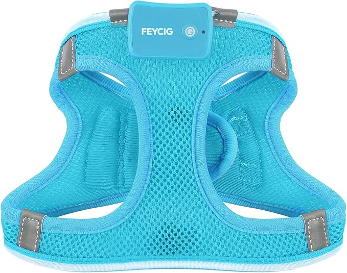 Light Up Dog Harness,Rechargeable LED Dog Harness for Small Medium Large Dogs,Reflective Lighted Safety Vest for Night Walking & Camping,Lightweight & Adjustable,Blue,XS-Mewly Pet