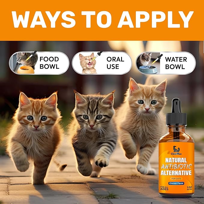 Cat Antibiotic to Help with Cough & Allergies – Antibiotics for Cats to Aid with UTIs and Digestive Moments – HIPS & Joints Support – Attractive Chicken Taste – 1 Oz Bottle-Mewly Pet