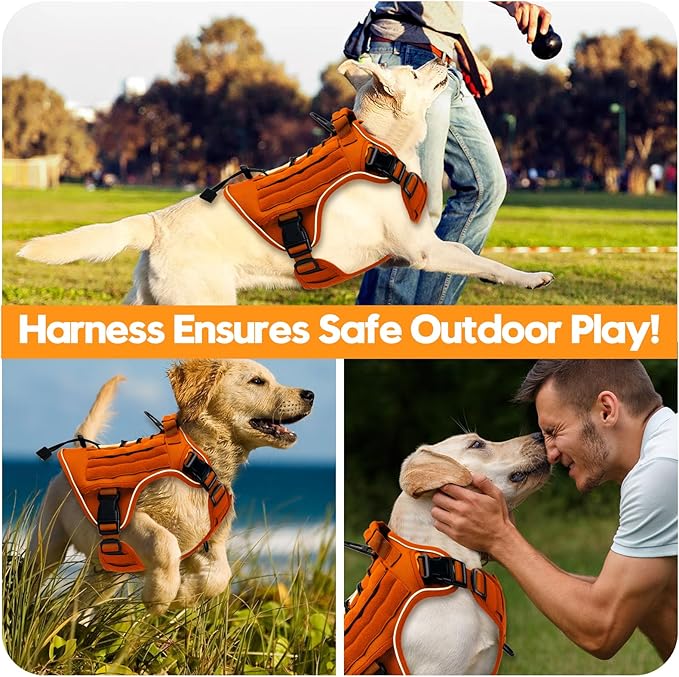 Heavy-Duty Tactical Dog Harness for Large Dogs, No Pull Adjustable Reflective Pet Vest with Molle System, K9 Military-Grade Control for Service Training, Outdoor & 10+ Breeds, Orange, XX-Large-Mewly Pet