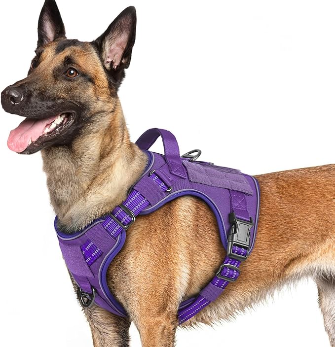 rabbitgoo Dog Harness for Large Dogs No Pull, Tactical Service Pet Vest with Molle and Control Handle, Adjustable and Reflective Military Harness for Easy Walking and Training, Purple, L-Mewly Pet