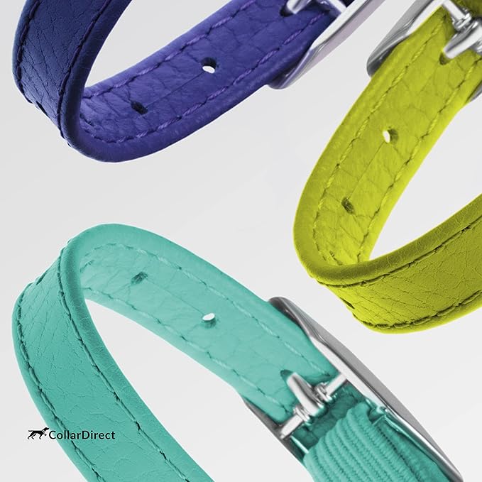 CollarDirect Leather Cat Collar, Kitten Collar with Removable Bell Black Blue Red Orange Lime Green (8-11 Inch, Lime Green)-Mewly Pet