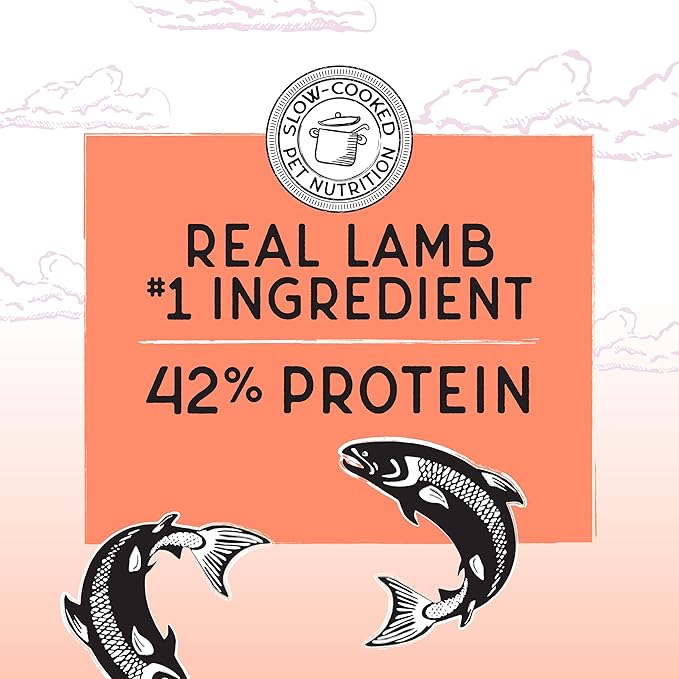 Blackwood Bounty Dry Cat Food, Salmon & Rainbow Trout Recipe for All Life Stages, 2 Pound Bag, High Protein, Grain Free-Mewly Pet