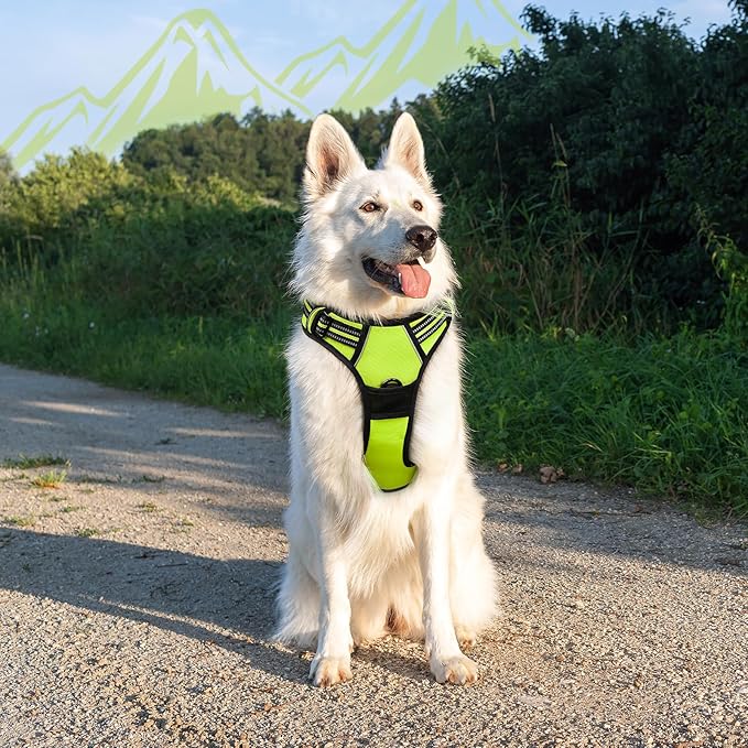 Eagloo Dog Harness Large Breed, No Pull Service Vest with Reflective Strips and Control Handle, Adjustable and Comfortable for Easy Walking, No Choke Pet Harness with 2 Metal Rings, Green, XL-Mewly Pet