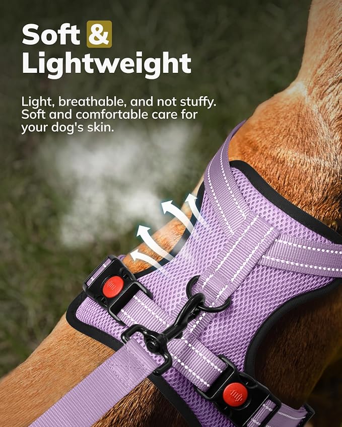 MIDOG No-Pull Dog Harness | Adjustable & Reflective Pet Harness Leash Set for Small Medium Large Dogs Walking, Training| No Choke, Front Clip, Soft Padded Vest with Easy Control Handle - Purple, L-Mewly Pet
