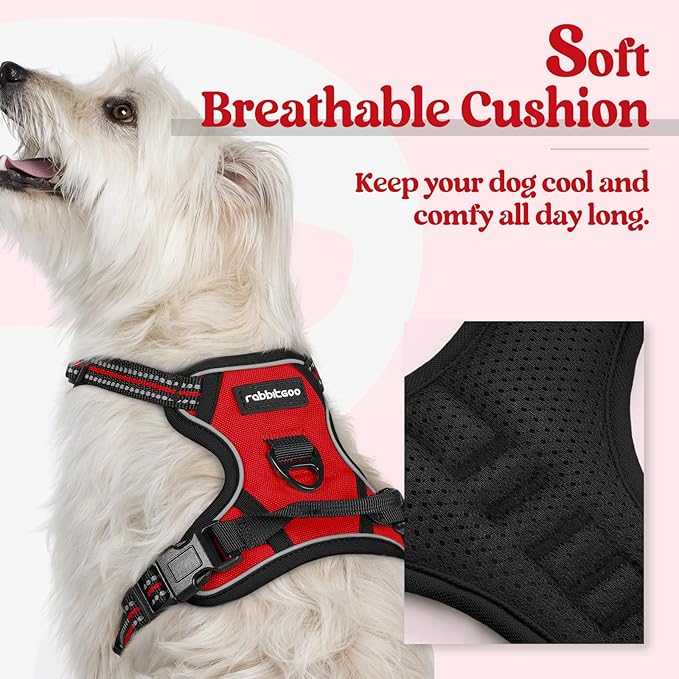 rabbitgoo Dog Harness No Pull with 2 Leash Clips, Adjustable Soft Padded, Reflective Oxford No Choke Pet Vest with Easy Control Handle for Puppy, Red,XS-Mewly Pet