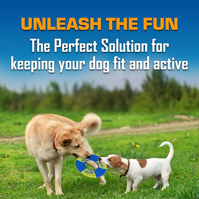 Nerf Dog Trackshot Toss and Tug Ring Outdoor Dog Toy 2 Pack, 9 Inch Dog Tug and Fetch Toy, for Medium and Large Breeds, Blue/Orange/Green-Mewly Pet