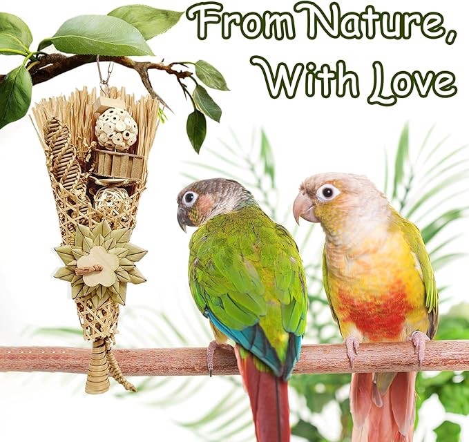 5-Pack Natural Flower Bird Toys – Foraging & Chewing Toys for Parakeets, Cockatiels, Conures & Small Birds – No Plastic, All-Natural Materials-Mewly Pet