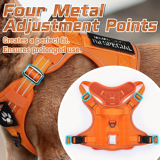 rabbitgoo Tactical Dog Harness for Small Dogs, No Pull Military Service Vest with Handle & Molle, Easy Control for Training Walking, Adjustable Reflective Straps, Orange, S-Mewly Pet