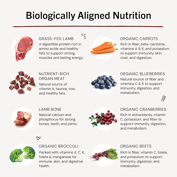 Stella & Chewy's Freeze-Dried Raw Dinner Patties - Dandy Lamb Recipe - High Protein Grain-Free Puppy & Dog Food - Perfect For Picky Eaters - 5.5 oz-Mewly Pet