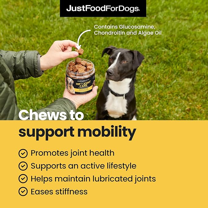 JustFoodForDogs Hip + Joint Soft Chews Mobility Supplement for Dogs with Glucosamine and Chondroitin, Superfood Blend, Human Grade, Plant-Based - 45 Count-Mewly Pet
