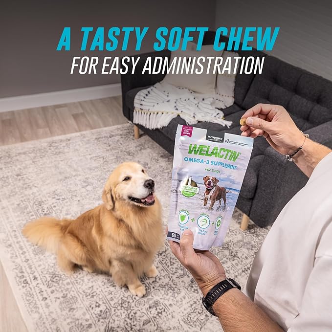 Nutramax Welactin Omega 3 Fish Oil for Dogs, Skin and Coat Health Supplement, Plus Immune and Overall Health, Premium Omega 3 Fatty Acids, Multivitamin For Dogs, Soft Chews, 60 Count-Mewly Pet