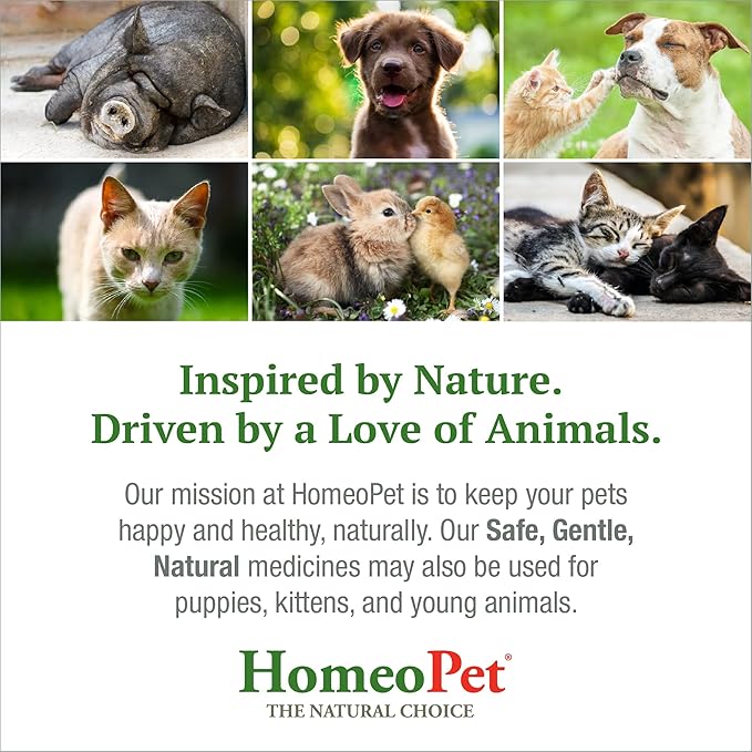 HomeoPet Feline UTI Plus, Safe and Natural Urinary Tract Supplement for Cats, Feline Urinary Tract Support, 15 Milliliters-Mewly Pet