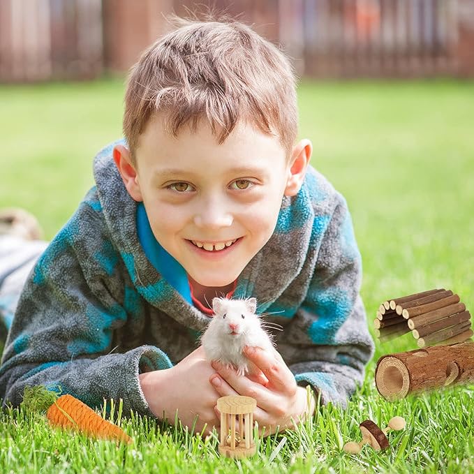 Sofier Hamster Toys Hamster Accessories for Cage Natural Guinea Pig Toys and Chews for Teeth Rat Toys Chinchilla Toys Wood Hideout Bridge Apple Wood Sticks-Mewly Pet