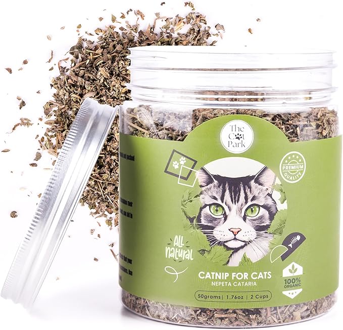Organic Catnip for Cats & Kittens – 1.76 oz Premium Natural Catnip, High Potency Blend for Playtime, Training, and Stress Relief, 2 Cups of Dried Cat Nip Leaves-Mewly Pet