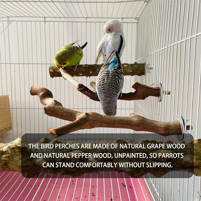 5PCS Bird Perch Stand Natural Wooden Parrot Stand Branch,3 Grape Wood Perch,2 Stand,Paw Grinding Fork Parakeet Chewing Stick Exercise Training Branches for Cockatiels,Small Medium Birds-Mewly Pet