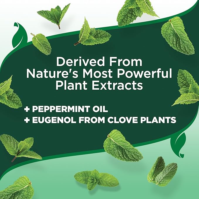 Vet’s Best Flea and Tick Home Spray – Plant-Based Flea and Tick Treatment for Dogs and Indoor Use – Natural Essential Oil Spray for Flea Control in The Home – Made in USA – 96 oz Refill-Mewly Pet