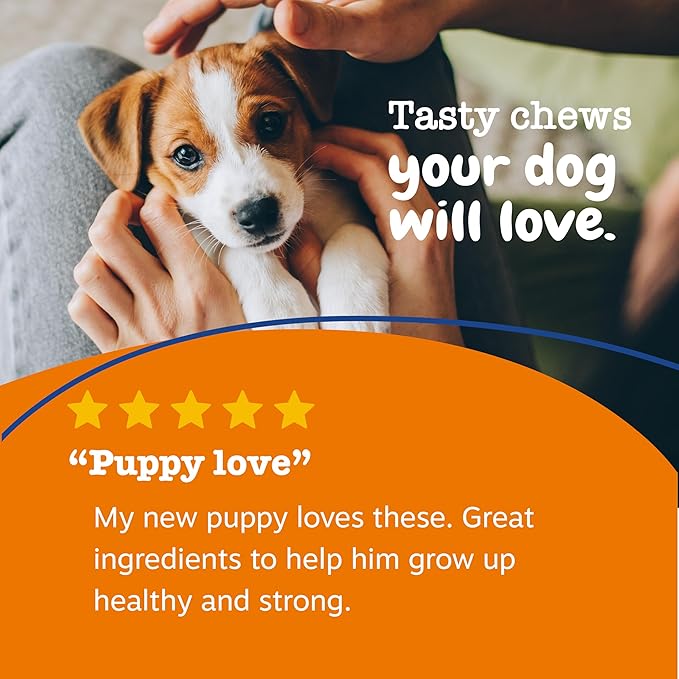 Zesty Paws Dog Multivitamin, Chewable Dog Vitamins and Supplements for Hip & Joints, Skin & Coat, Omega 3 Fish Oil for Dogs- Puppy Multivitamin - Chicken Puppy Bites- 90ct-Mewly Pet