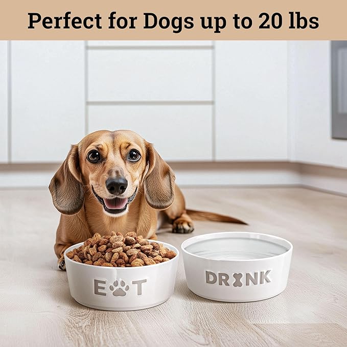 Ceramic Dog Bowl Set of 2 with Anti-Skid Base - 5" Wide x 2" Tall Ceramic Dog Bowls for Small Dogs - 2 Cup Capacity Food and Water Bowls for Dogs - Rubber Bottom Pet Bowl Set of 2 for Small Pets-Mewly Pet