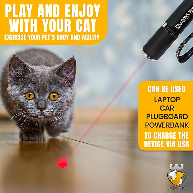 KINGDOM'S PET 3-in-1 Interactive Cat Toy Set – Rechargeable Laser Pointer, Feather Teaser & Wand for Indoor Cats’ Play and Exercise-Mewly Pet