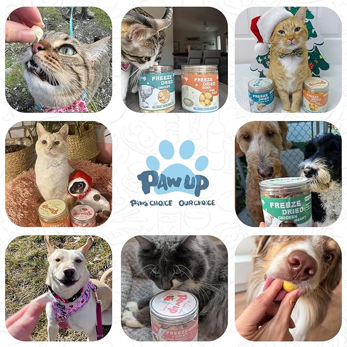 Freeze Dried Sheep Milk Yogurt Flavor, Gentle Sheep Milk Dog Treats for Sensitive Stomachs Puppies, 2.8 oz-Mewly Pet