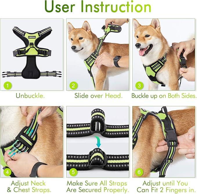 rabbitgoo Dog Harness No Pull with 2 Leash Clips, Adjustable Soft Padded, Reflective Oxford No Choke Pet Vest with Easy Control Handle for Large Dogs, Green, XL-Mewly Pet