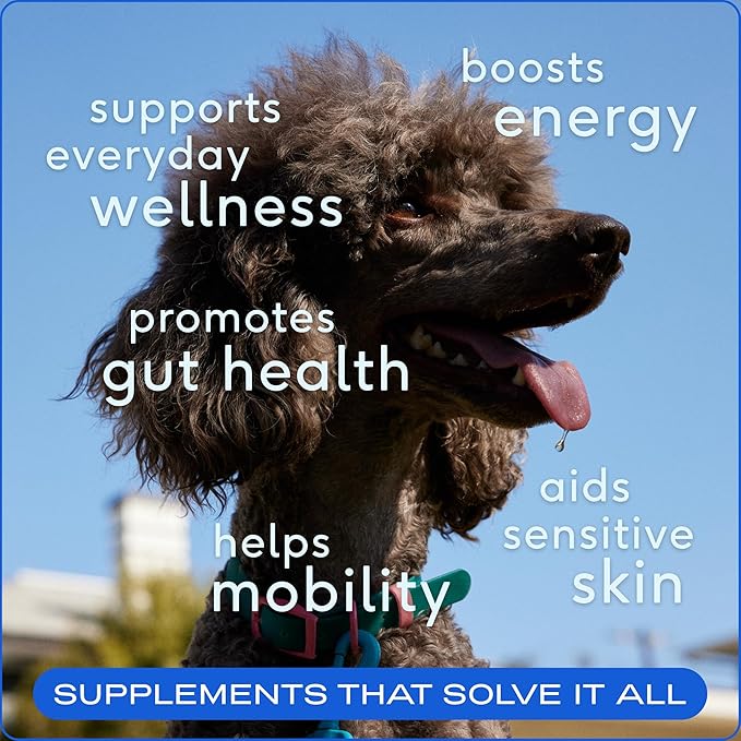 Native Pet The Daily Dog Supplement (60 Scoops) & Salmon Oil for Dogs & Cats (8 Oz) - 11 in 1 Multivitamin & Pure Omega-3 Fish Oil Supplement for Skin & Coat, Joint, Heart Health & Anti-Inflammatory-Mewly Pet