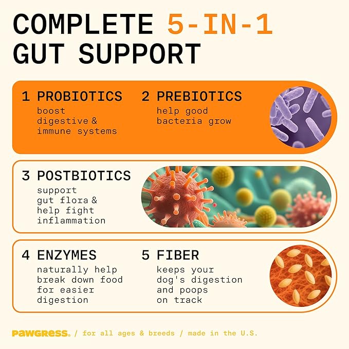 5-in-1 Dog Probiotic Powder – 100% Natural Gut Health Support with Prebiotics, Postbiotics & Enzymes – Crafted by Dog Nutritionist Kayla Kowalski, Made in USA – 30 Scoops-Mewly Pet