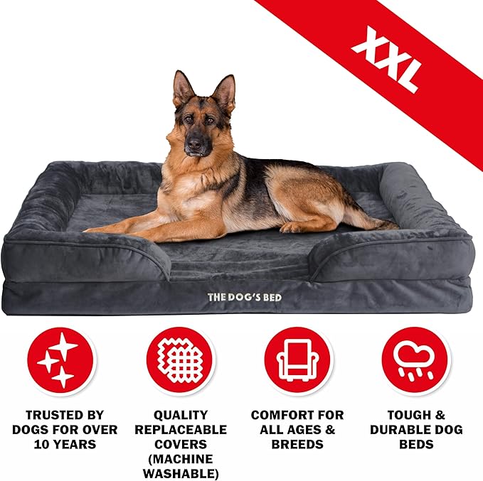 The Dog’s Bed, Orthopedic Standard Foam Waterproof Dog Bed with Standard Support, XXL Grey Plush, Waterproof, Supportive Dog Bed with Replaceable Covers, Veterinary Approved-Mewly Pet