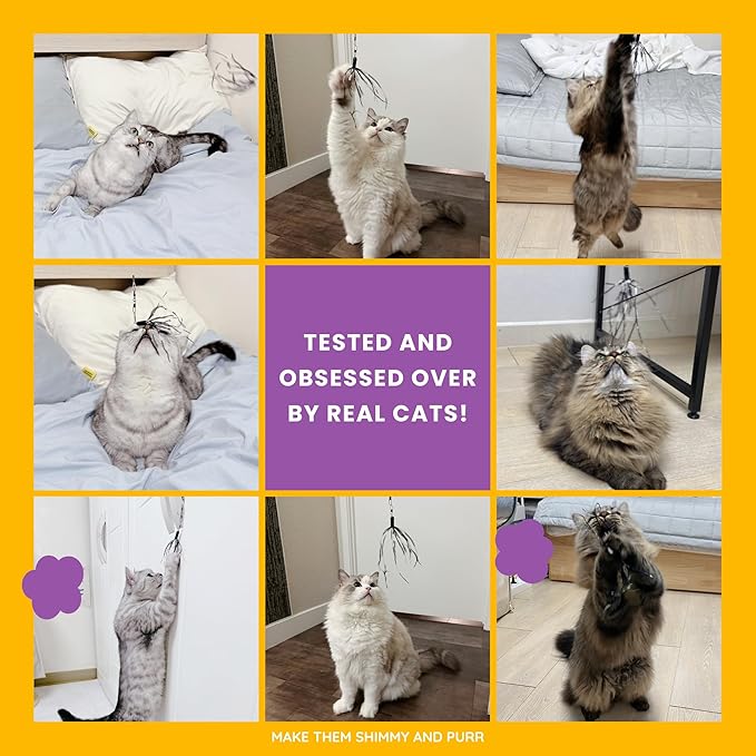 Cat Wand 38" - Retractable Cat String Toy with Spider Teaser and Refill, Perfect Interactive Toy for Indoor Cats and Kittens-Mewly Pet