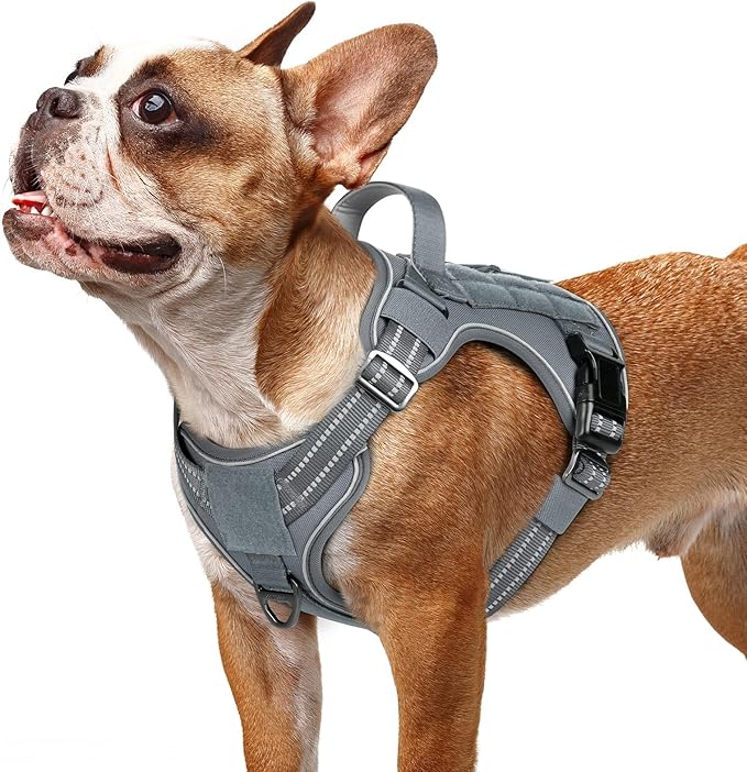 rabbitgoo Dog Harness Small Sized No Pull, Tactical Service Pet Vest with Molle and Control Handle, Adjustable and Reflective Military Harness for Easy Walking and Training, Grey, S-Mewly Pet