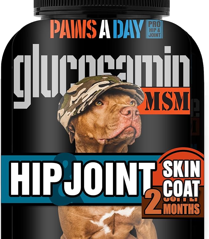 Glucosamine for Dogs Hip & Joint Supplement – “Two-in-One Combo” Dog Joint Care and Improved Skin & Coat with Chondroitin, MSM, Omega 3, Collagen & Biotin, 60 Chewable Tablets-Mewly Pet