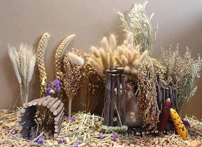Natural Hamster Bedding - Flowers, Herbs, Sprays, Treat Cereal Grain for Cage Habitat Enclosure Decor - Hamster Chews for Dwarf Syrian Gerbils, Mice, Rat Forage - Pet Accessories-Mewly Pet